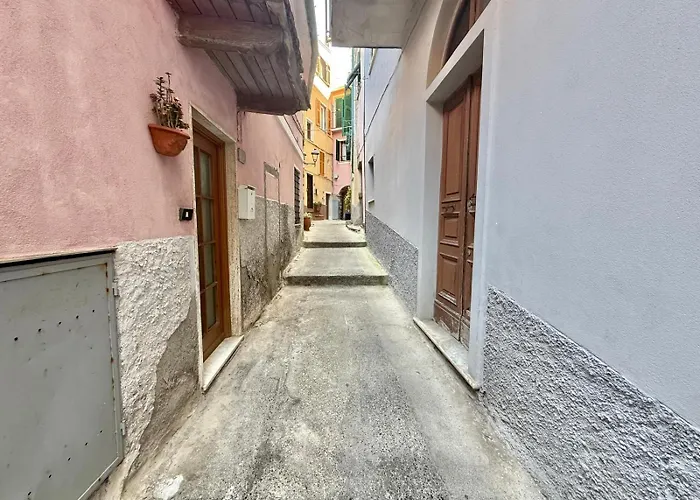 Noah Lejlighed Manarola